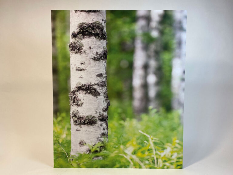 Print EcoSUND mit geradem Schnittkante